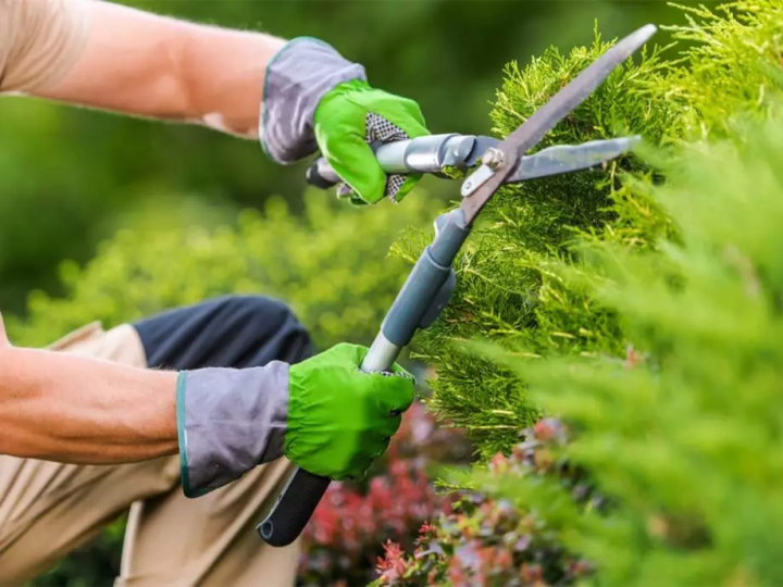 Un entretien de jardin personnalisé
