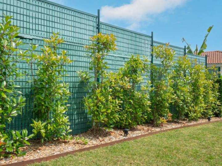 Création jardin sur mesure Mornant