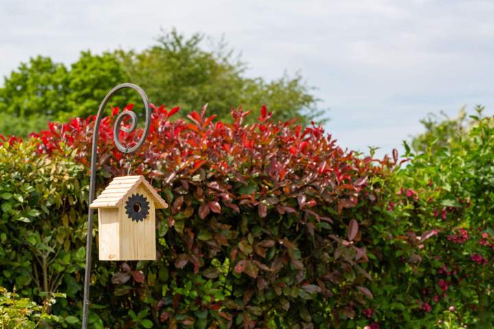 Jardin Vivant Mornant